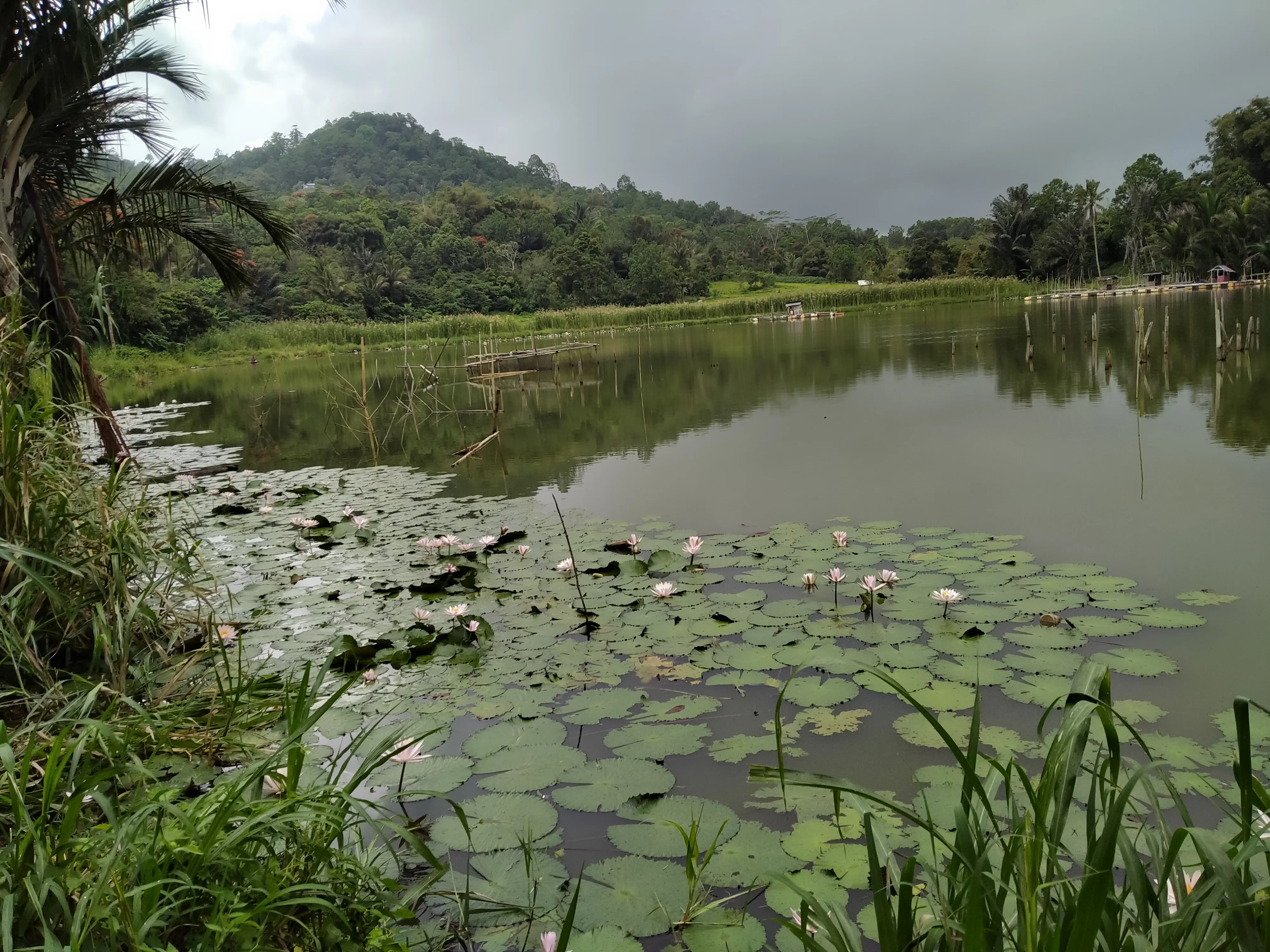 Danau Pangolombian