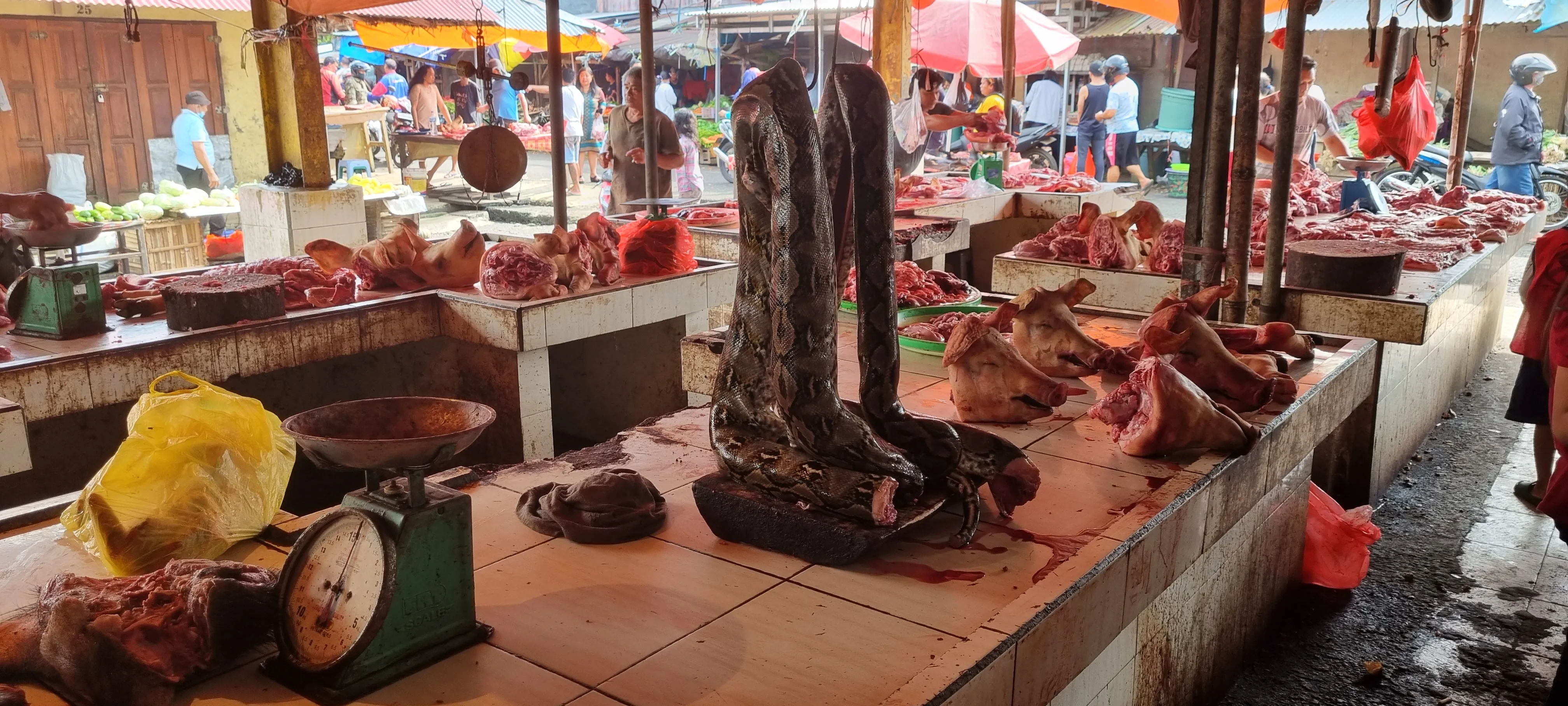 Pasar Traditional “Wilken”