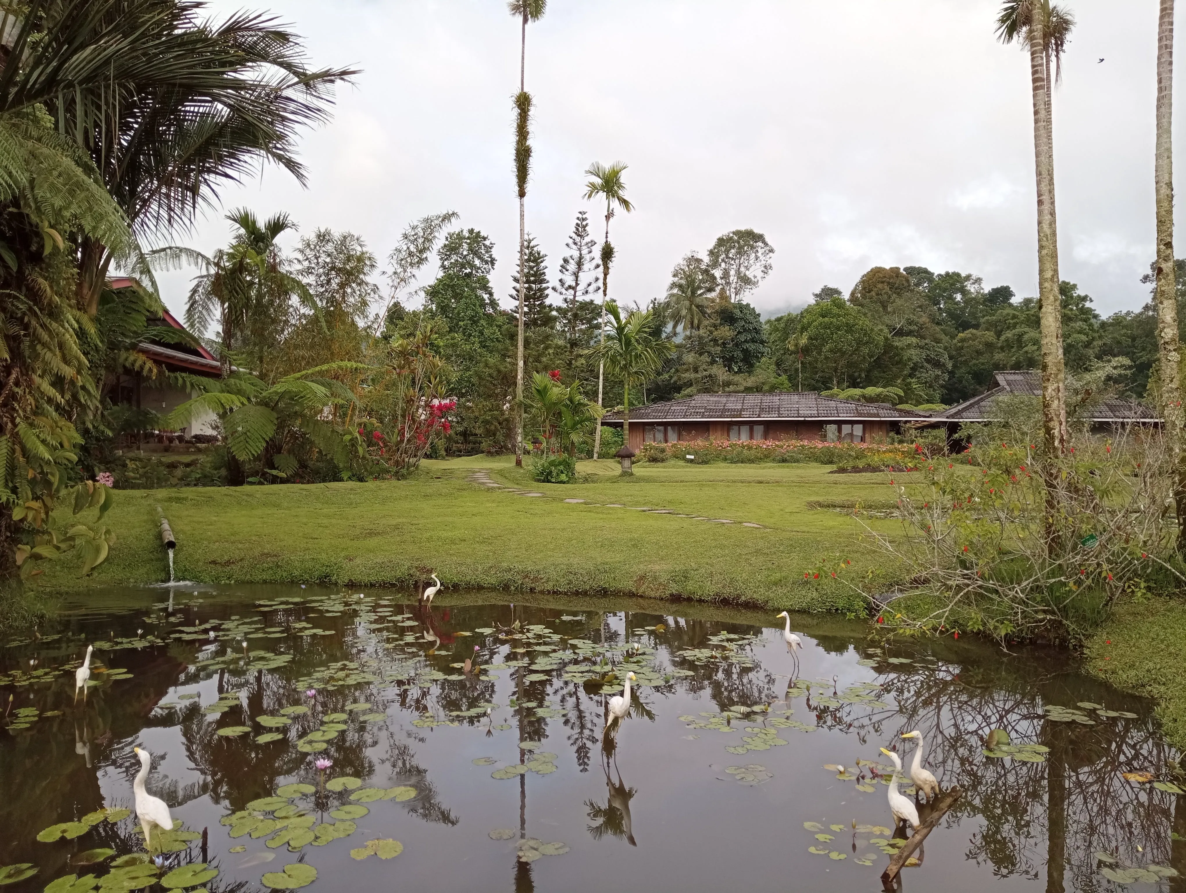Gardenia Country Inn