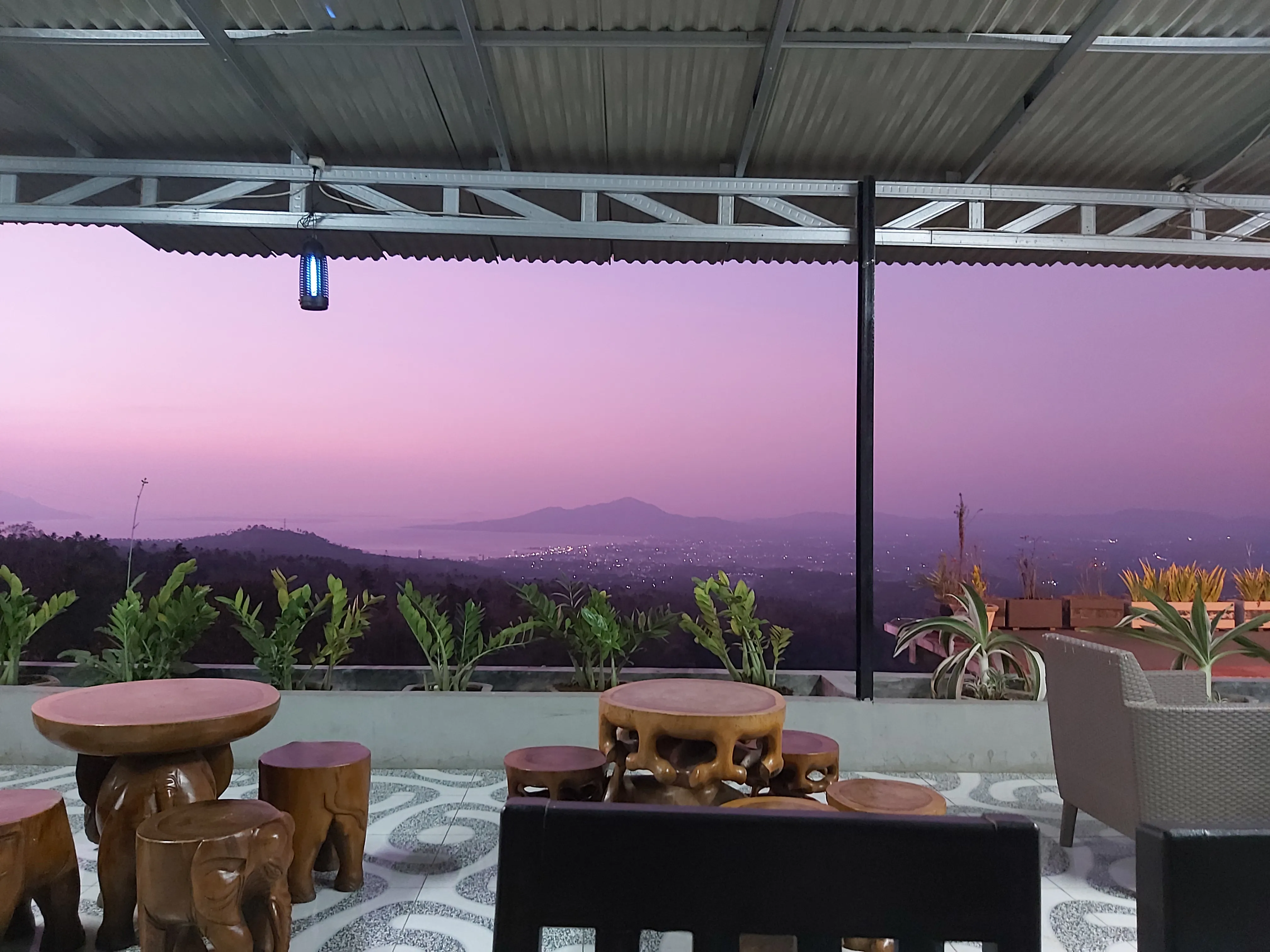 The View